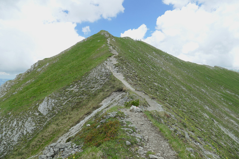 Walser Hammerspitze