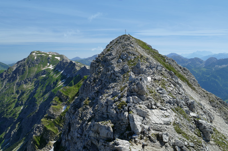 Westlicher Wengenkopf