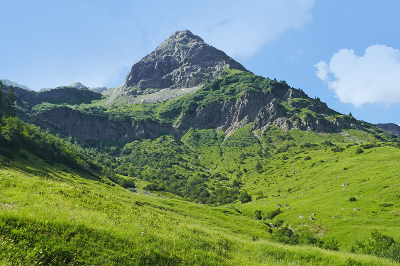 Wiedemerkopf
