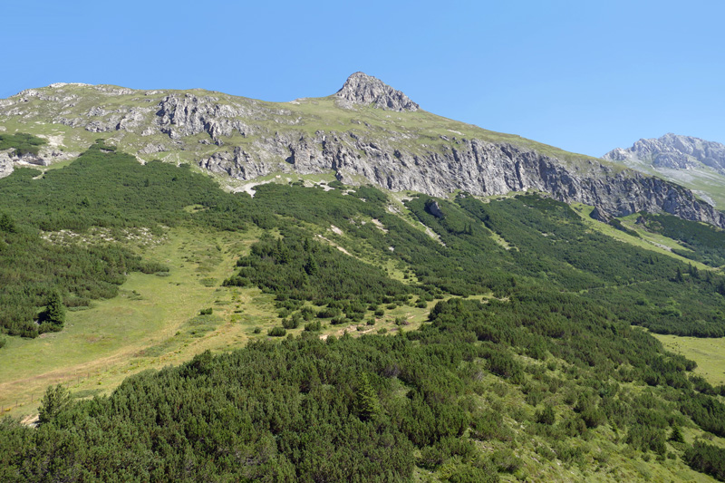 Falschkogel