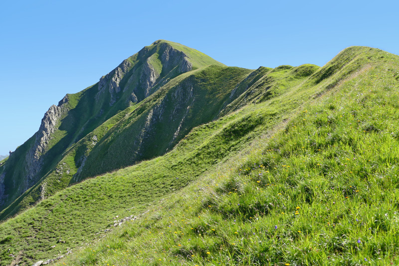 Hochpleisspitze