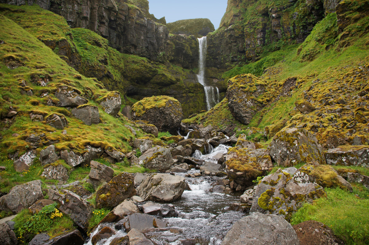 Bugsfoss