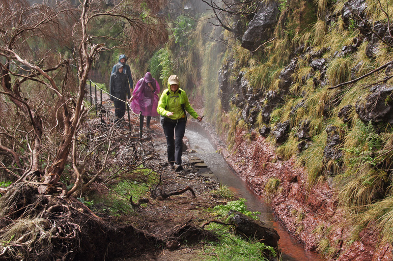 Levada da Serra