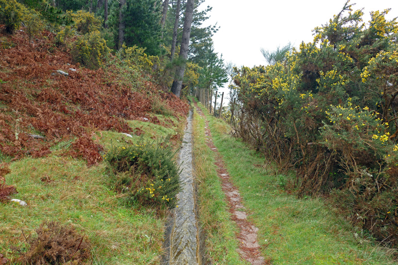 Levada do Blandy