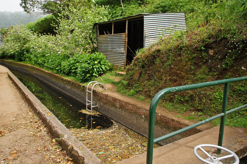 Levada Ribeira da Janela