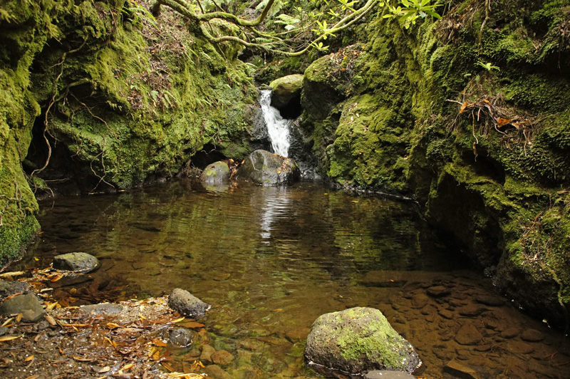 Levada Moinho Achadas