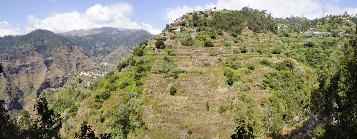 Levada Norte