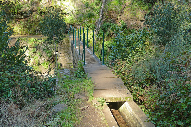 Levada Nova Calheta