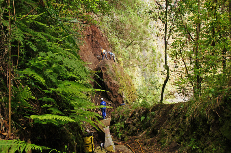 Levada Faja do Rodrigues