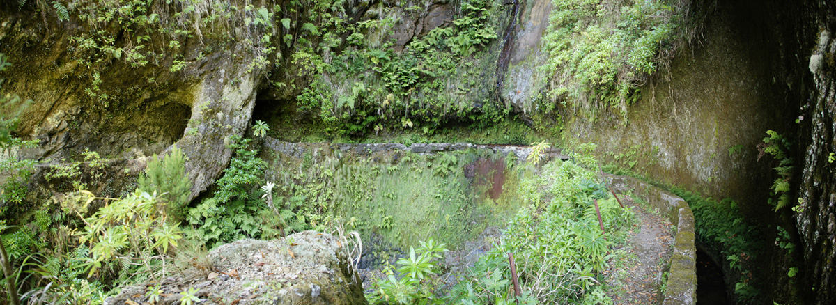 Levada da Serra do Faial