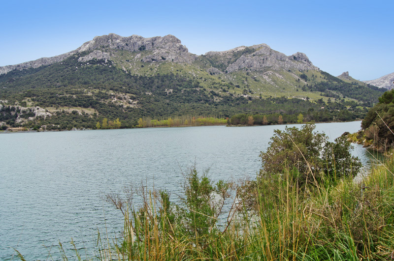 Puig de Sa Font