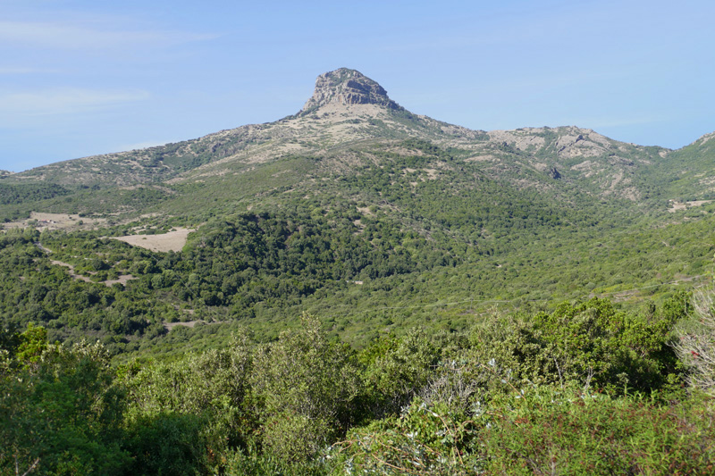 Monte Arcuentu