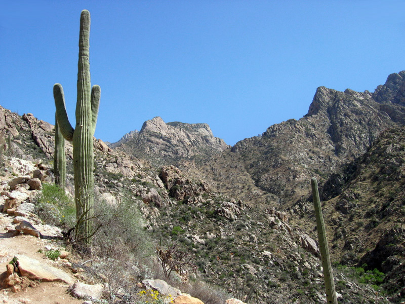 Catalina State Park