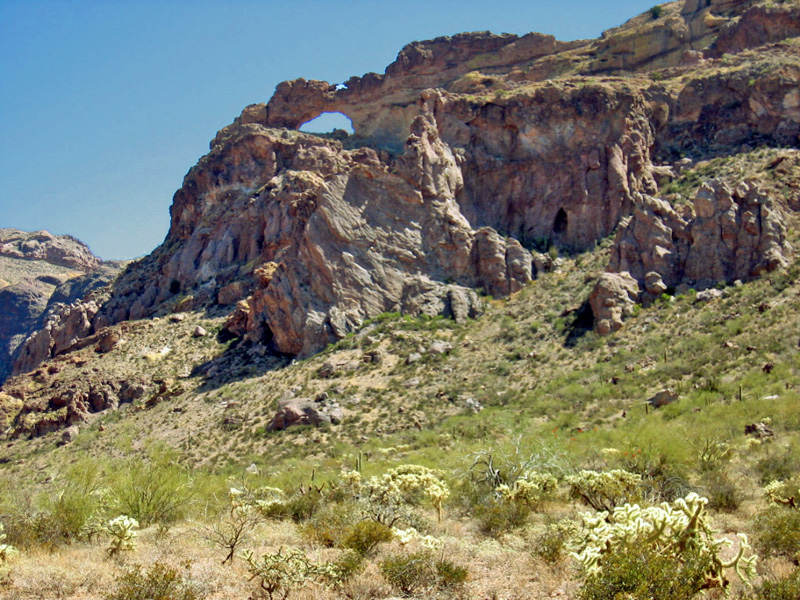 Organ Pipe Nationalmonument