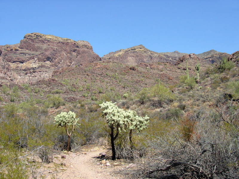 Bull Pasture