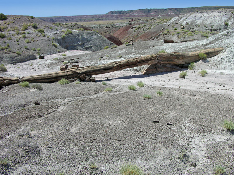 Onyx Bridge