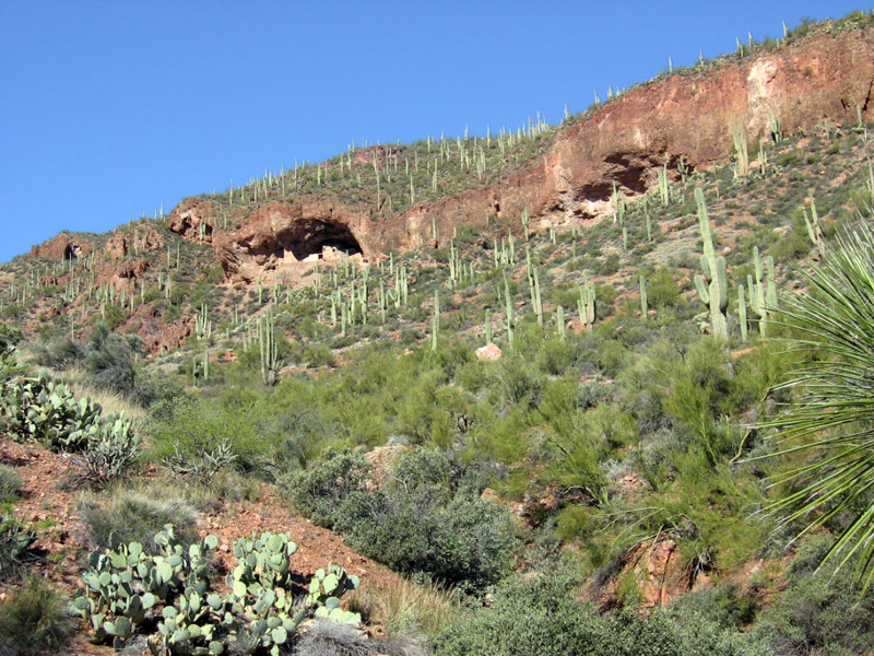 Tonto Nationalmonument