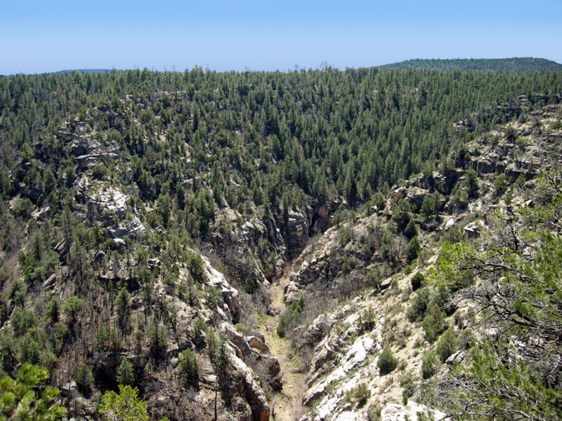 Walnut Canyon