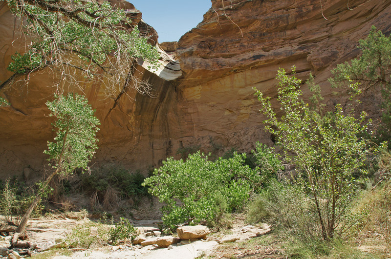 Echo Canyon