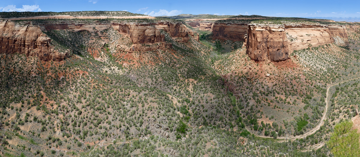 Ute Canyon View