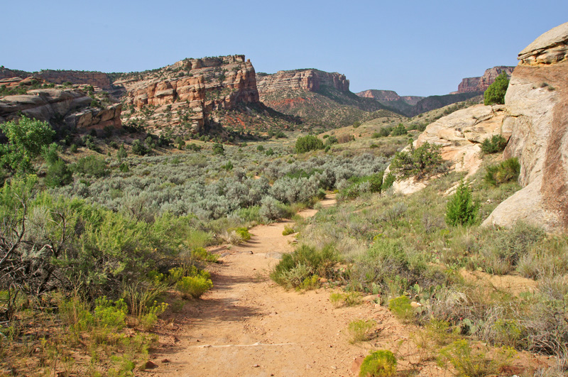 No Thoroughfare Canyon