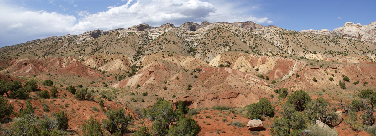 Cottonwood Wash