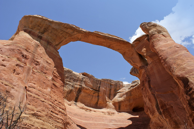 Centennial Arch