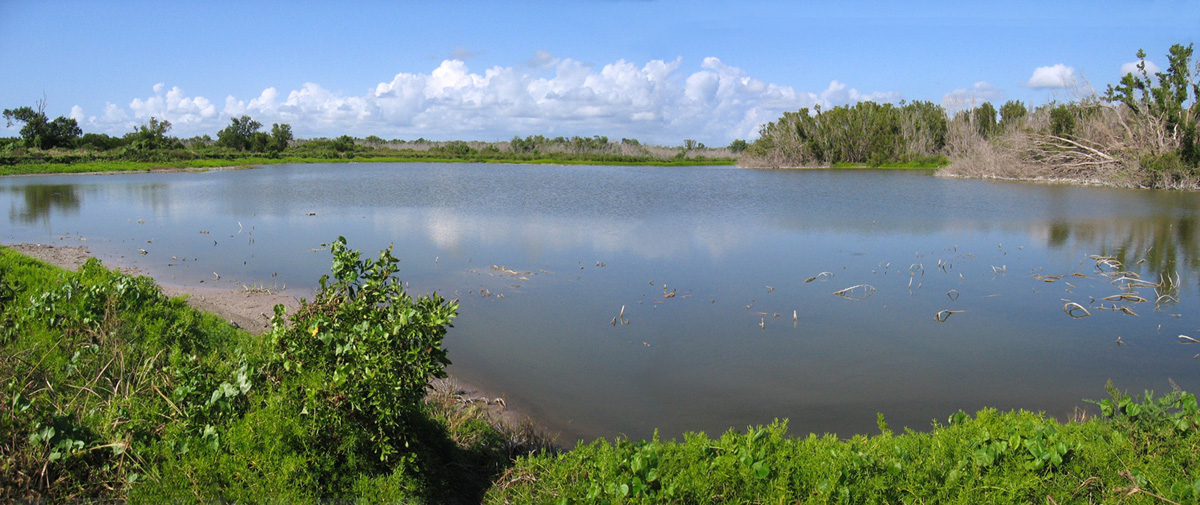 Eco Pond