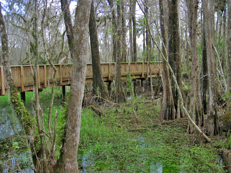 Kirby Storter Boardwalk