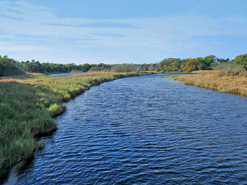 Myakka River