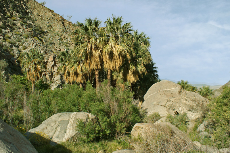 Hellhole Canyon