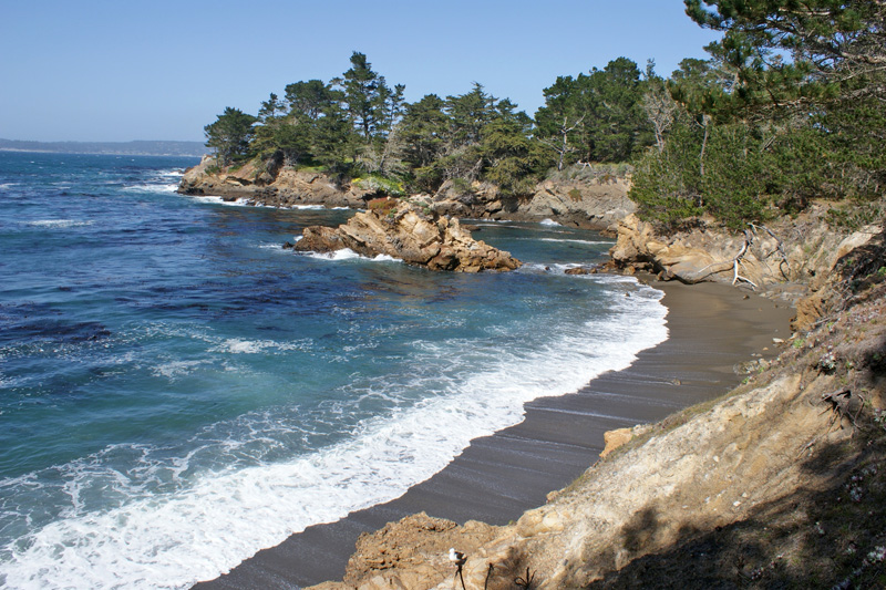 Point Lobos