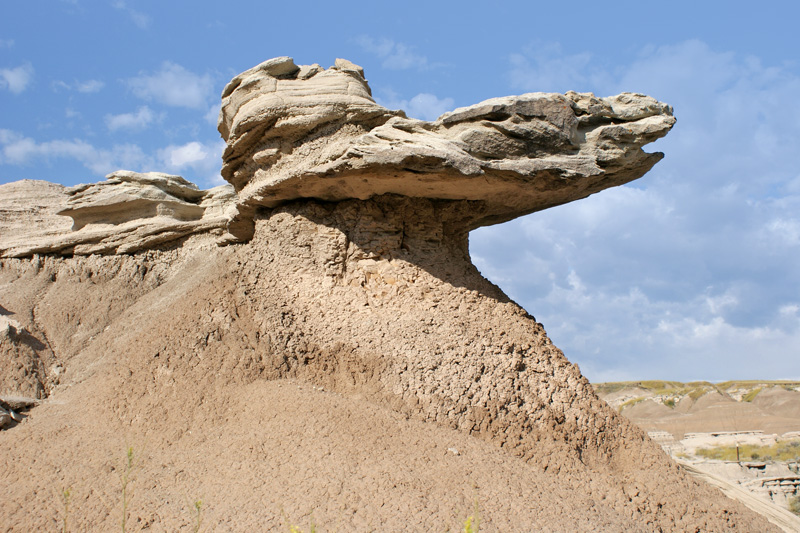 Toadstool Park