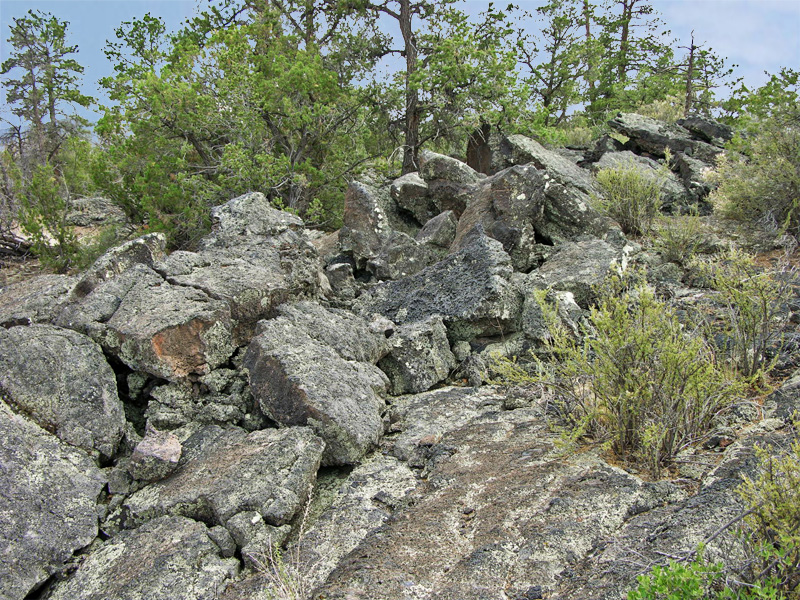 Zuni-Acoma Trail