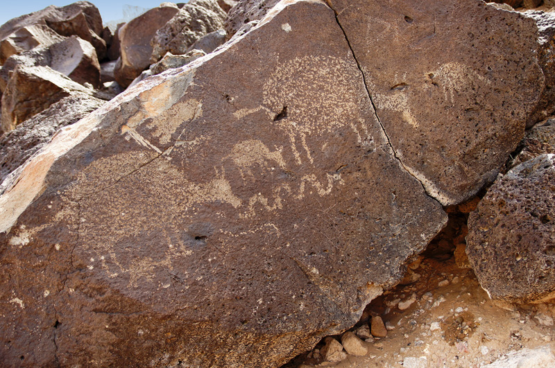 Petroglyph NM