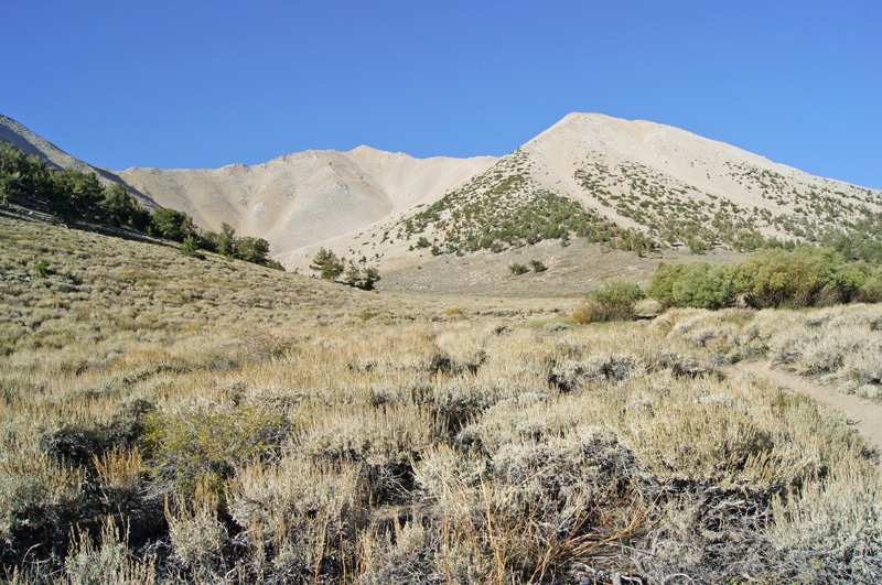 Boundary Peak