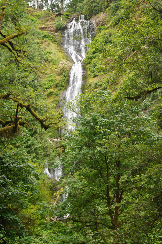 Munson Creek Falls