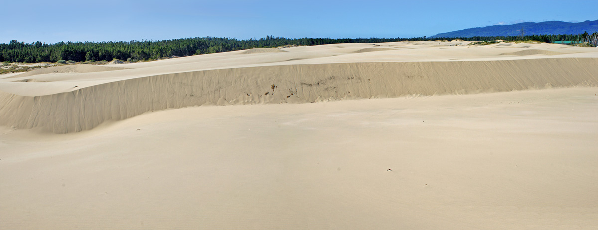 Oregon Dunes