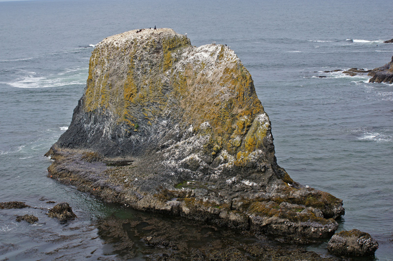 Yaquina Head