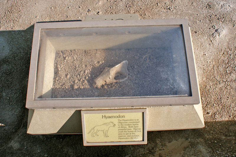 Fossil Trail