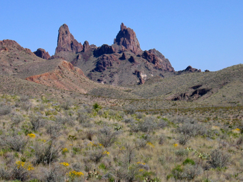 Mule Ears Paeks