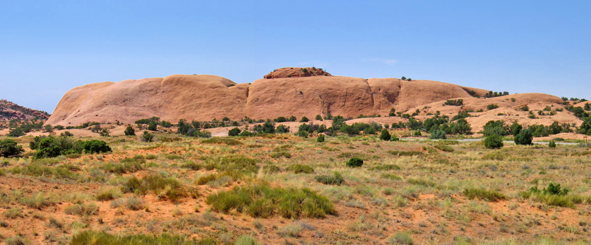 Whale Rock