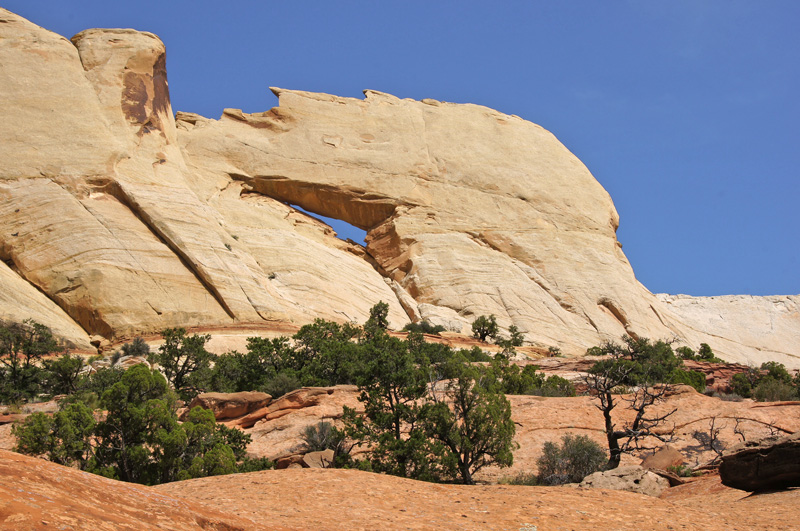 Peekaboo Arch