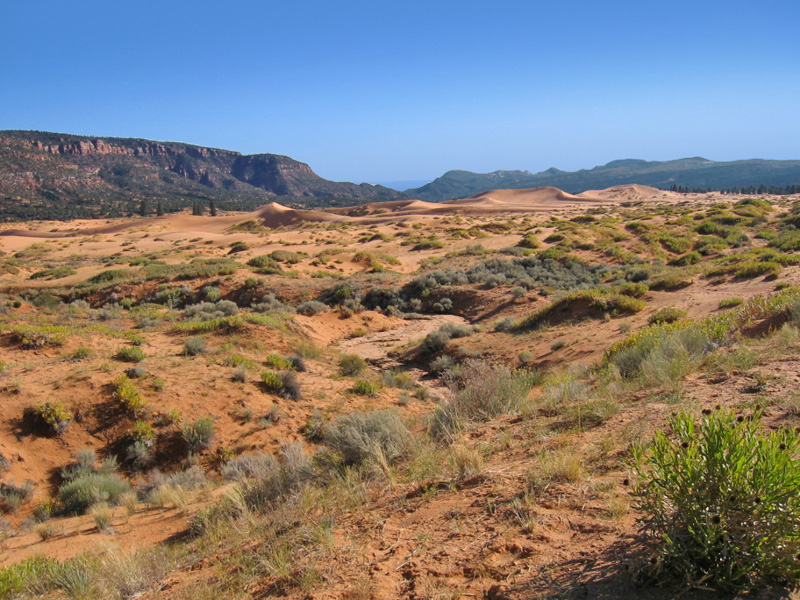 Coral Pink Sand Dunes