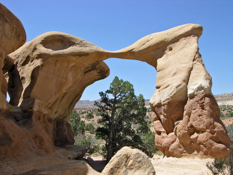 Metate Arch