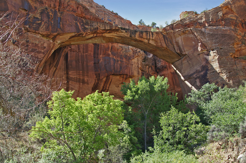 Escalante Bridge