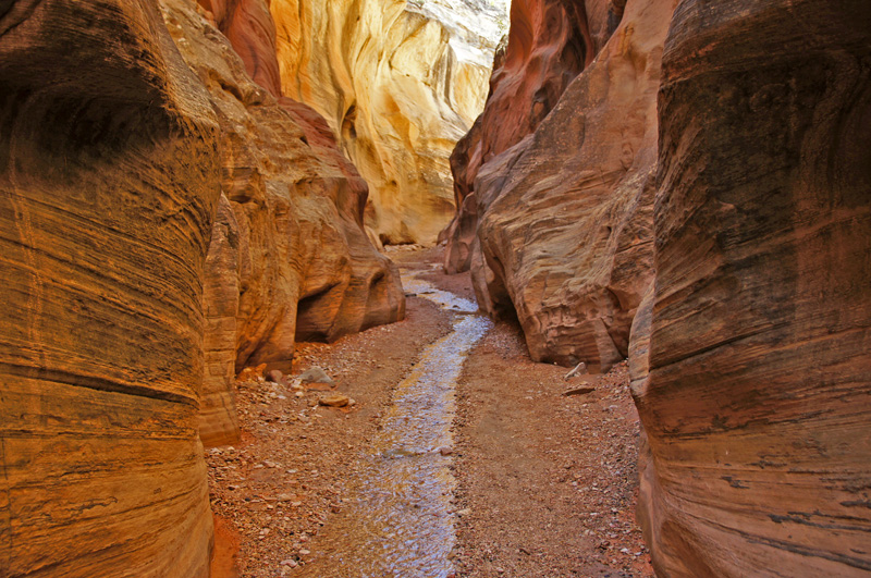 Willis Creek Canyon