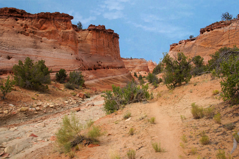 Half Way Hollow Canyon