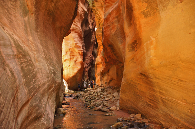 Kanarra Creek