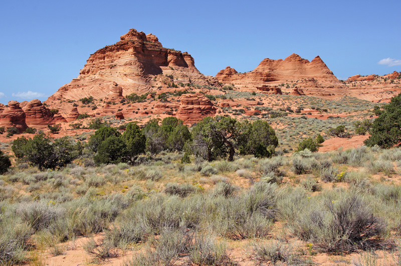 South coyote Buttes